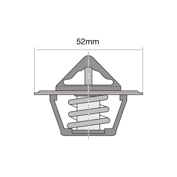 TT6-190 - Thermostat