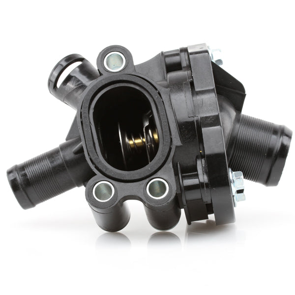 TT608-194 - Thermostat