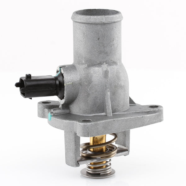 TT611-221 - Thermostat