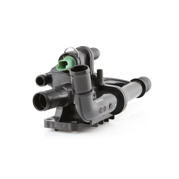 TT616-181 - Thermostat