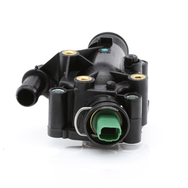 TT618-195 - Thermostat