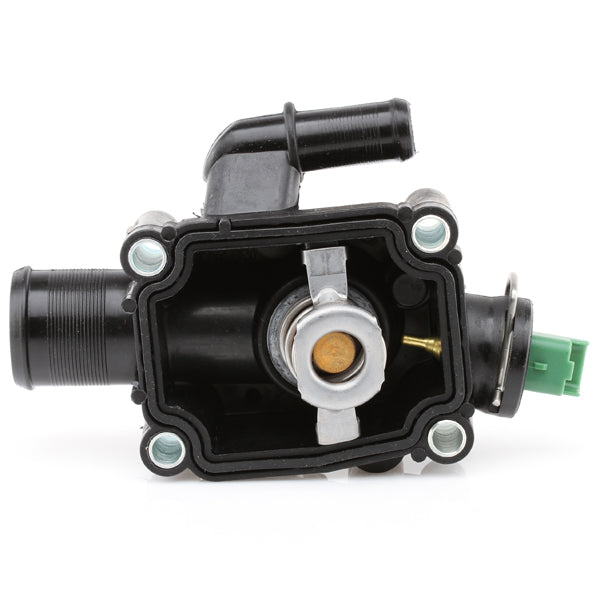 TT618-195 - Thermostat