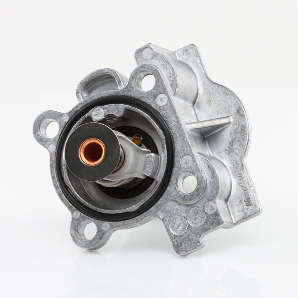 TT622-181 - Thermostat
