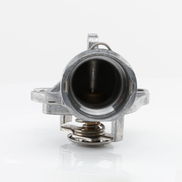 TT629-189 - Thermostat