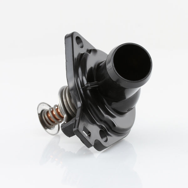 TT636-172 - Thermostat
