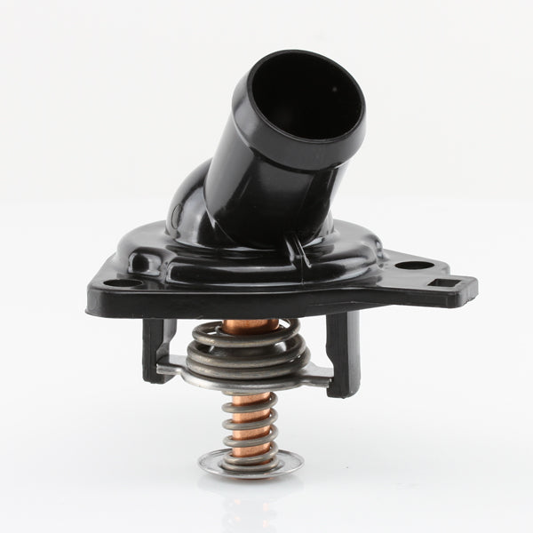 TT636-172 - Thermostat