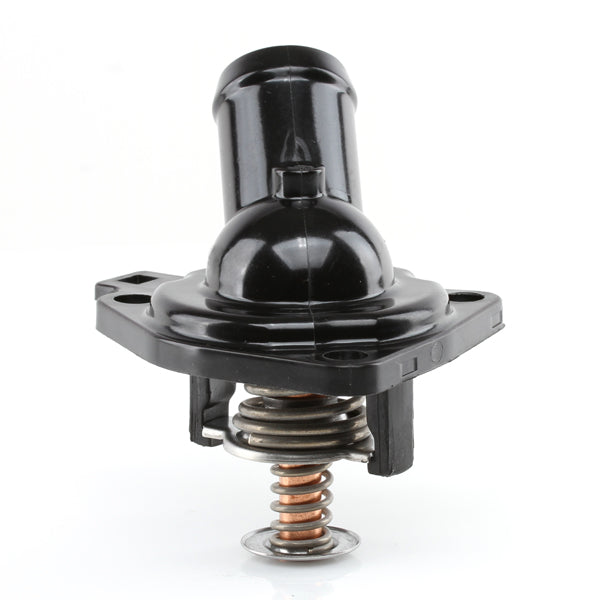 TT636-172 - Thermostat