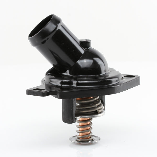 TT636-172 - Thermostat