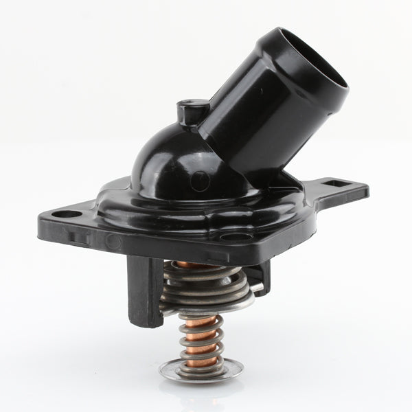 TT636-172 - Thermostat