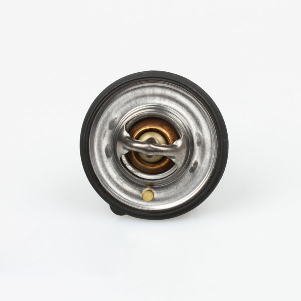 TT727-190 - Thermostat
