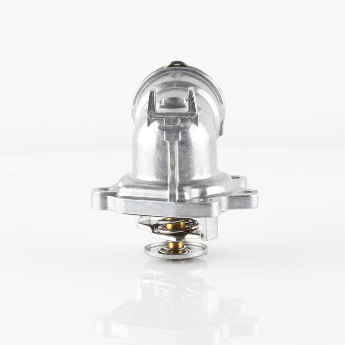 TT741-198 - Thermostat