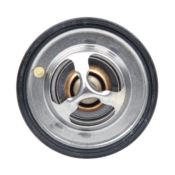 TT762-194 - Thermostat