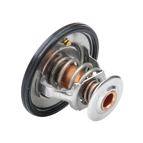 TT762-194 - Thermostat