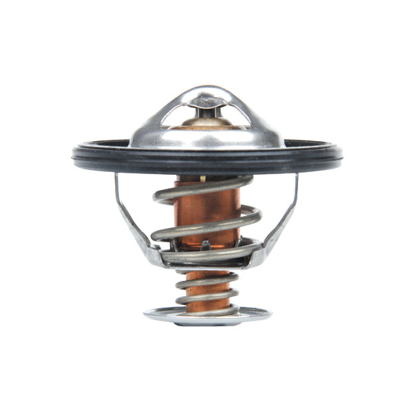 TT762-194 - Thermostat