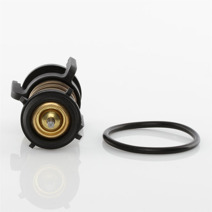 TT763-201 - Thermostat