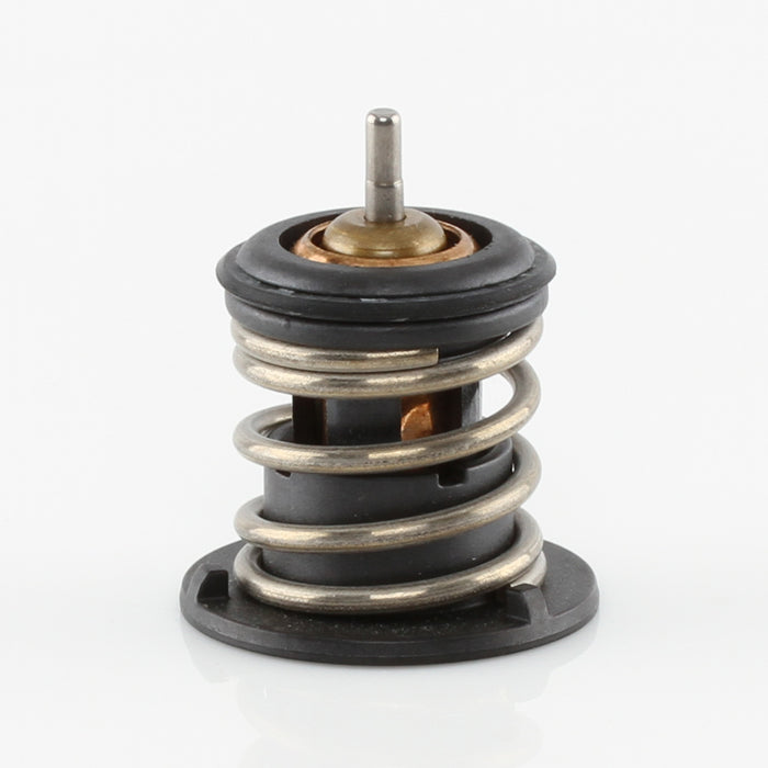 TT769-176 - Thermostat