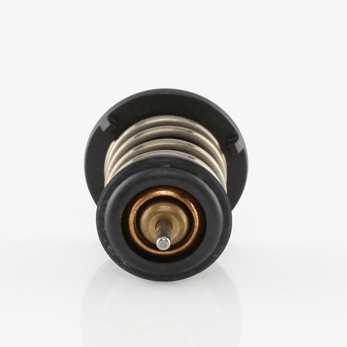 TT769-176 - Thermostat