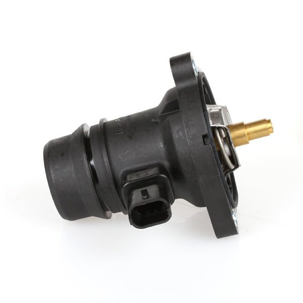TT797-217 - Thermostat
