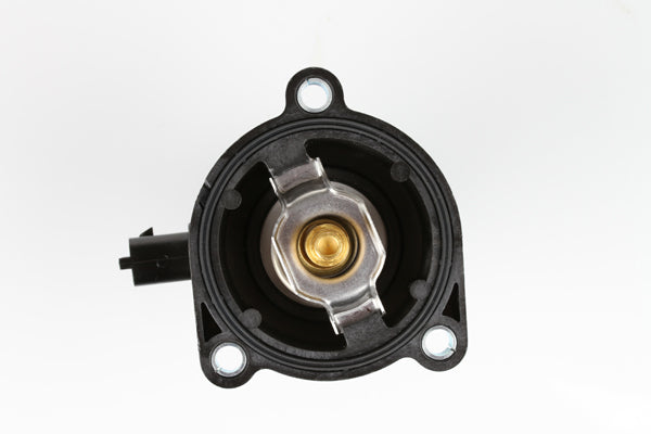 TT797-217 - Thermostat