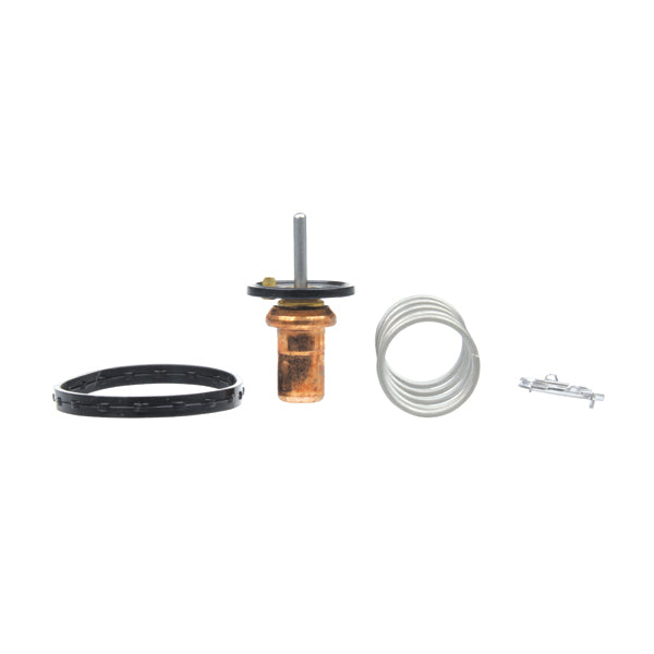 TT799-190 - Thermostat