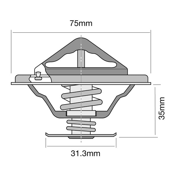 TT8039-180P - Thermostat