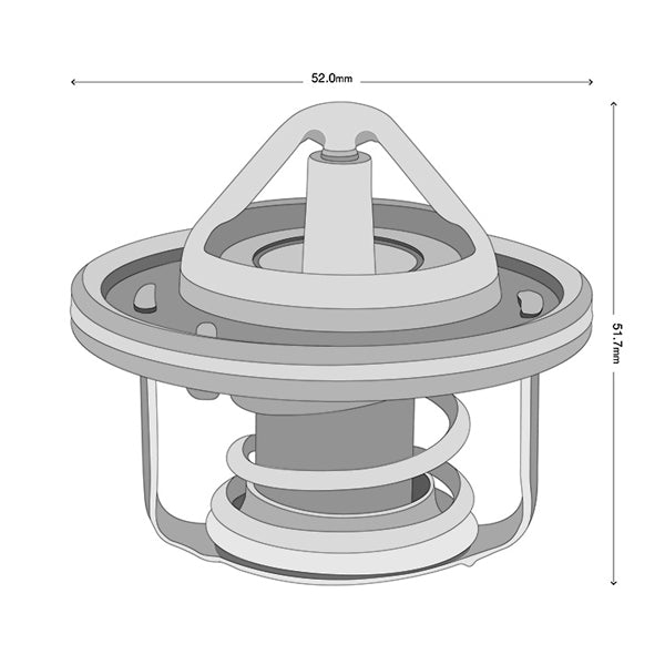 TT906-190 - Thermostat