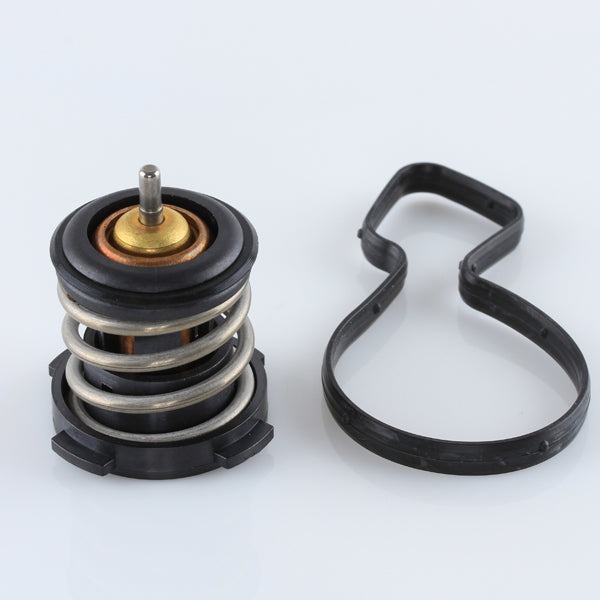 TT920-189 - Thermostat