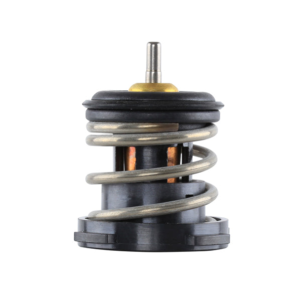 TT920-189 - Thermostat