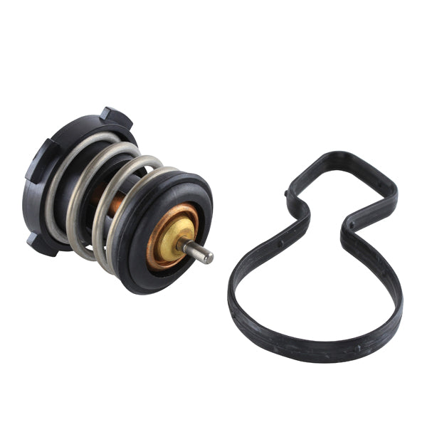 TT920-189 - Thermostat
